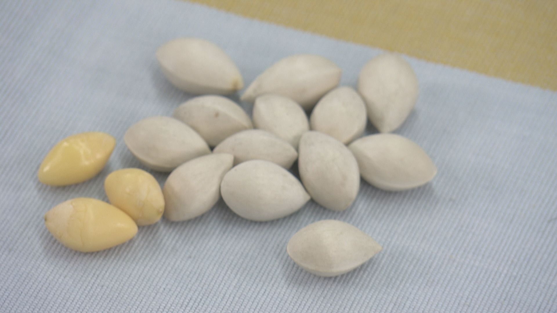 【杏林在線—健康1分鐘+】種子入膳要注意甚麼