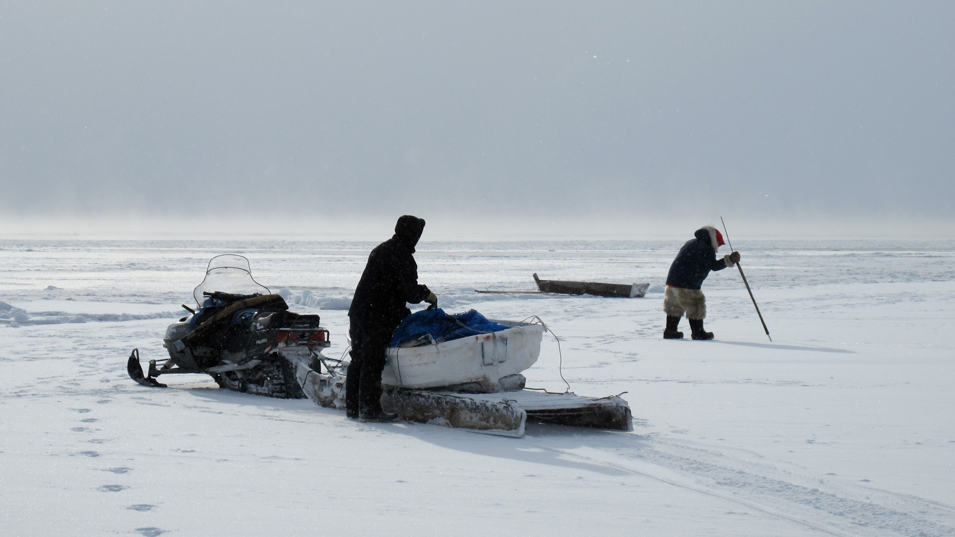 〈Glocal Pop〉《西伯利亞人》－沈旭暉