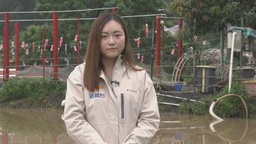 記者直擊｜新田農莊水浸到大腿