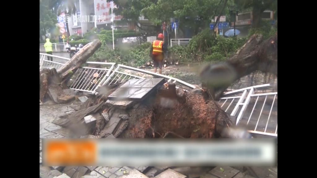 妮妲傍晚進入廣西