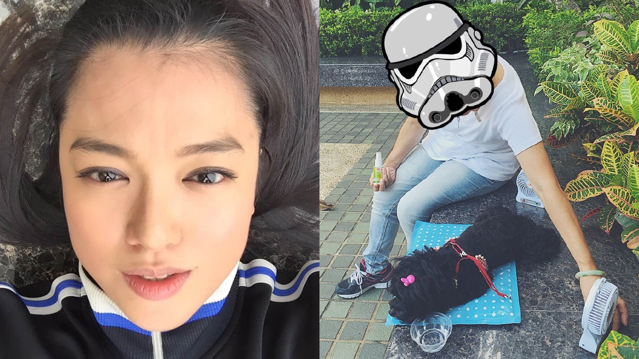 李珊珊出外放狗晒太陽 遮樣唔見人