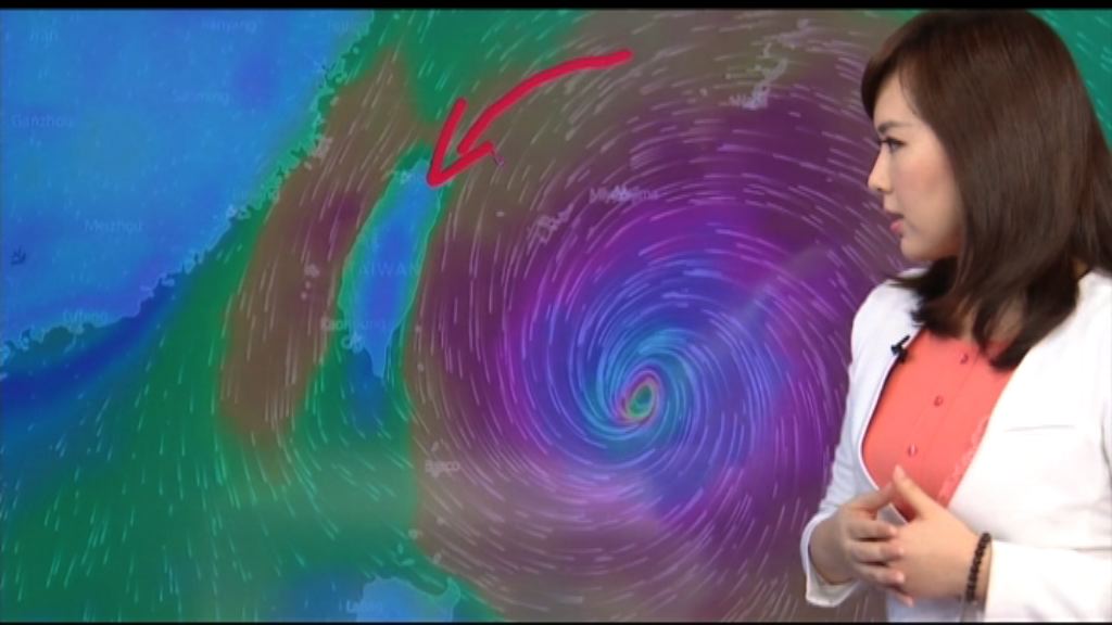 熱帶氣旋鮎魚的命名