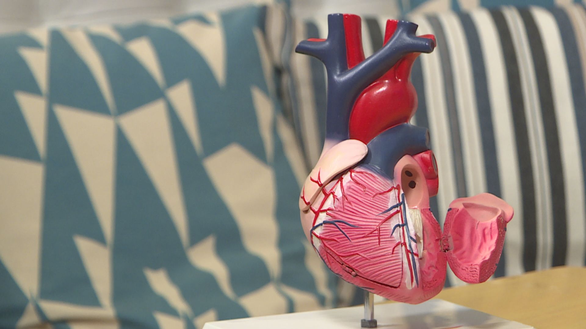 【杏林在線—健康1分鐘+】為甚麼心臟不會患癌？