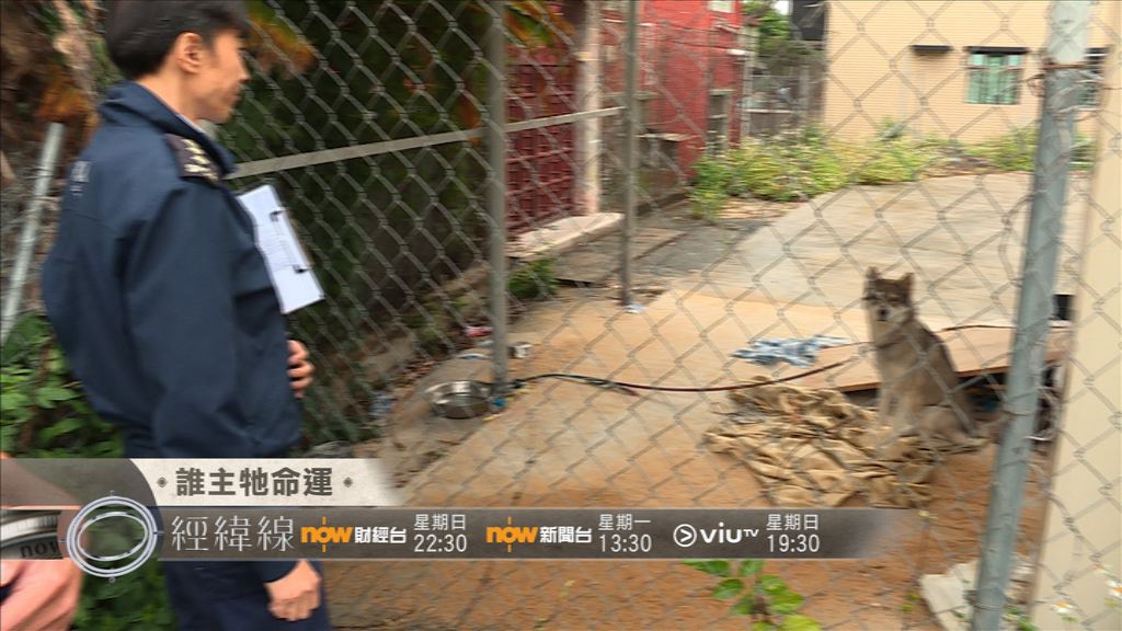 【經緯線本周提要】誰主牠命運