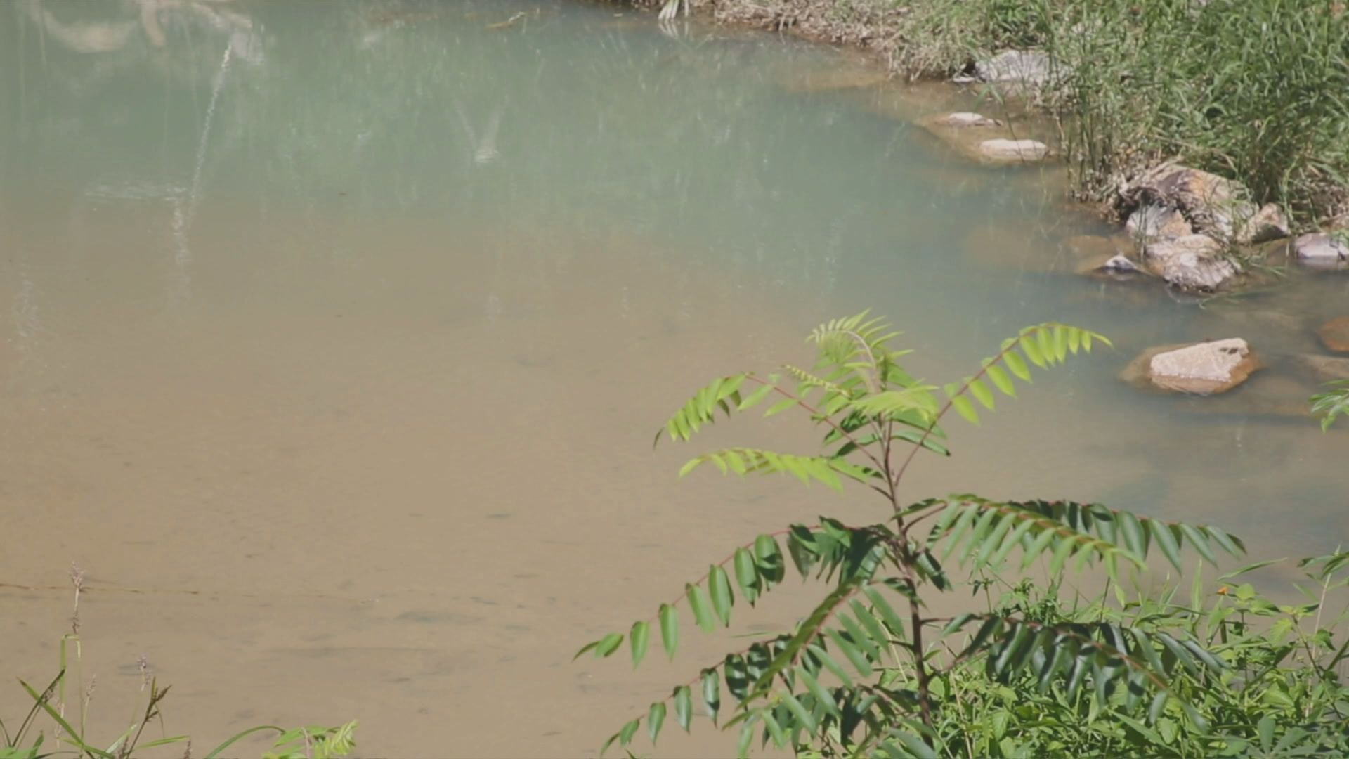 環保署：已嚴厲警告堆填區承辦商