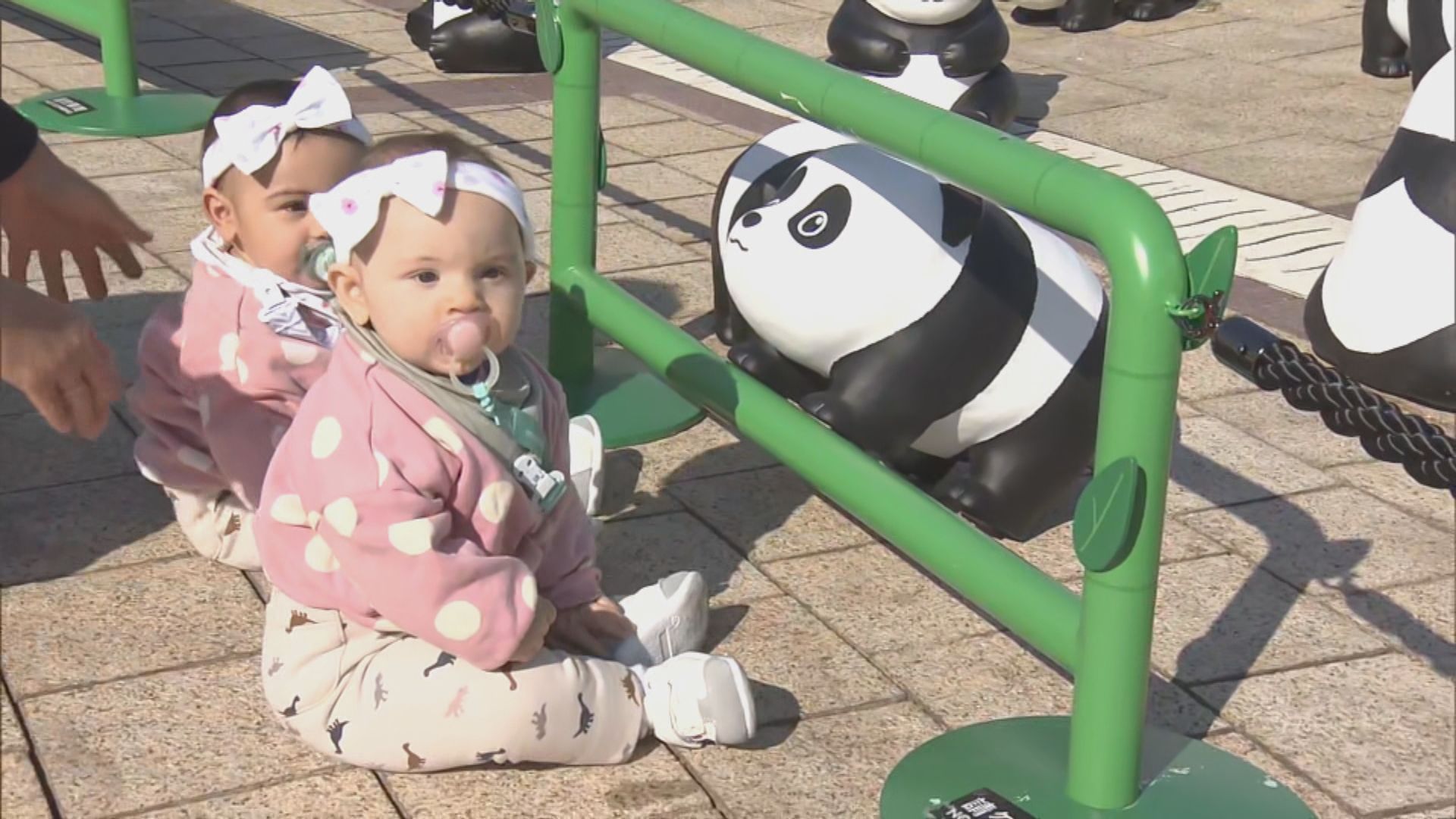 大熊貓雕塑周末在海洋公園展出　園方明年推更多活動增加收入