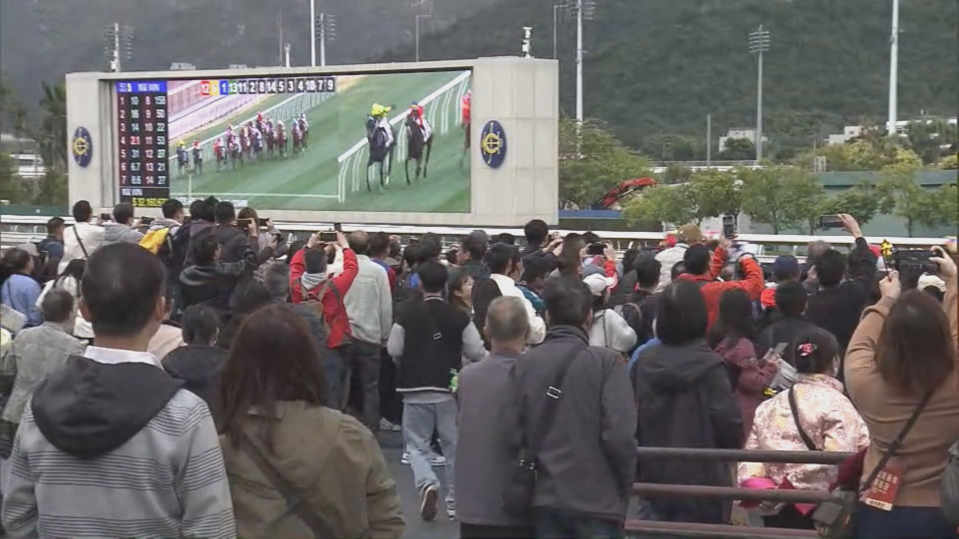 賀歲馬吸引大批馬迷入場　感受過年氣氛