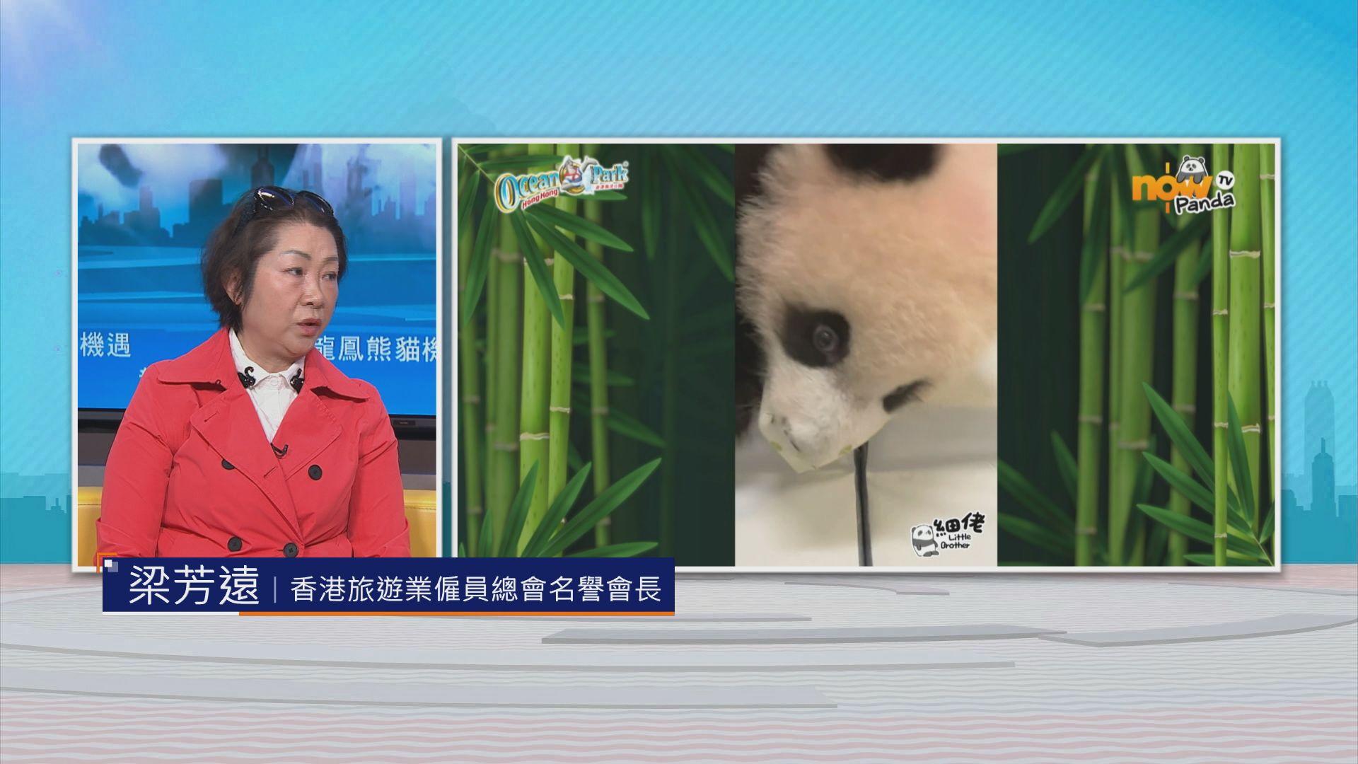 【時事全方位】龍鳳熊貓機遇(四)