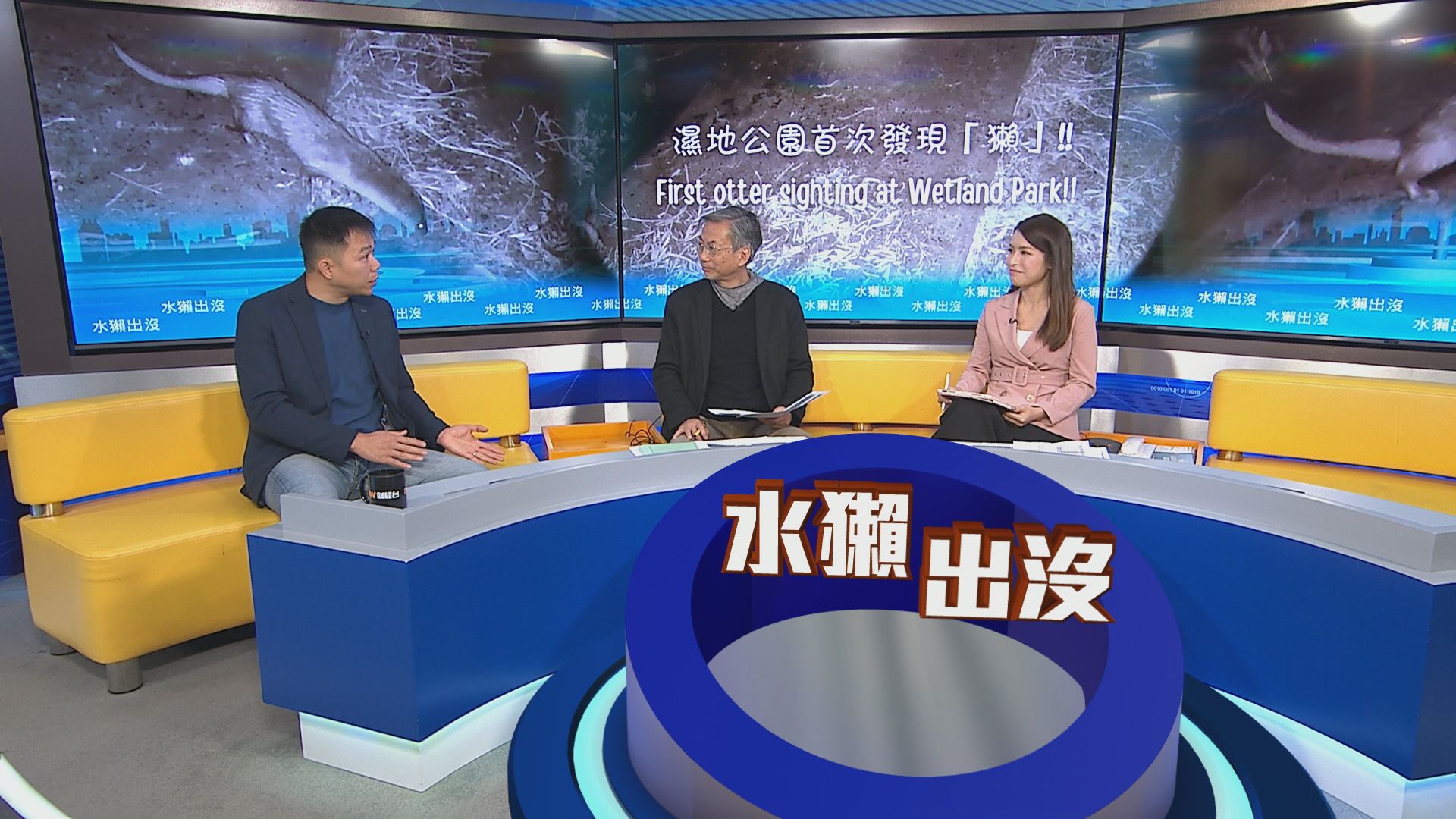 【時事全方位】水獺出沒(二)