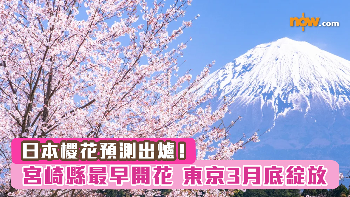 日本櫻花2025｜日本櫻花預測出爐！　宮崎縣最早開花　東京3月底綻放