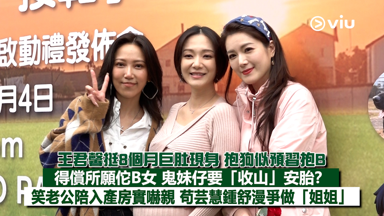 足本訪問：王君馨挺8個月巨肚現身 抱狗似預習抱B 得償所願佗B女 鬼妹仔要「收山」安胎？ 笑老公陪入產房實嚇親 苟芸慧鍾舒漫爭做「姐姐」