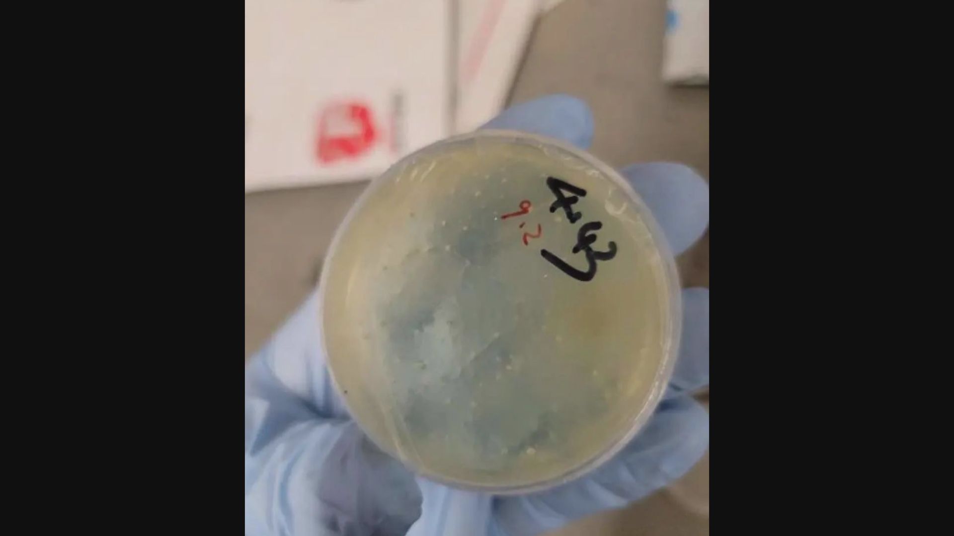 再有中國科學家被指控偷運生物材料到美國