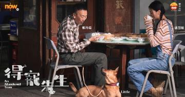 《得寵先生》旦哥演技被嚴重低估