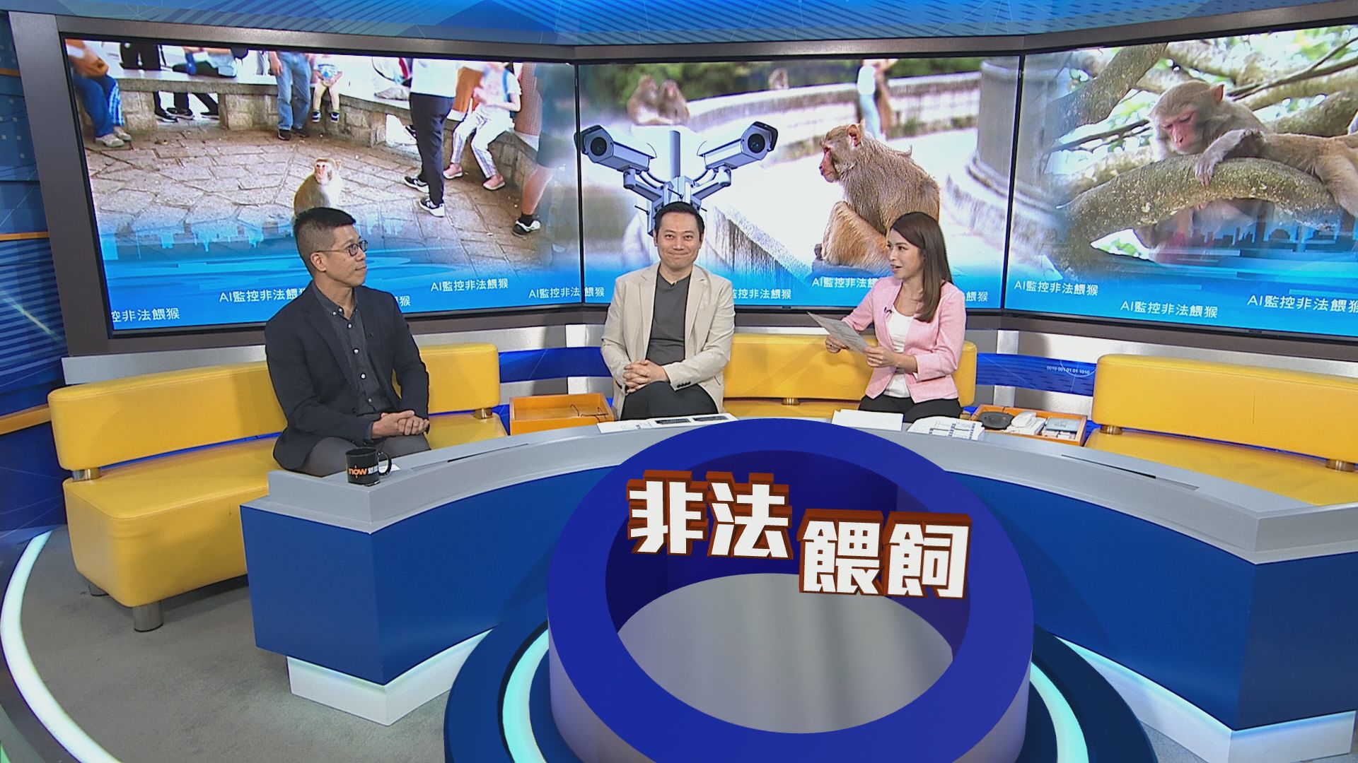 時事全方位｜AI監控非法餵猴(一)