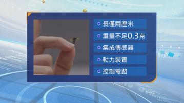 內地國防科技大學研發機械蚊　能無聲無息進行偵察