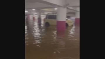 今年首個黑雨無「超前預報」　環翠邨停車場水浸　有車主車輛要再報廢