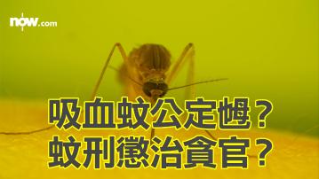 蚊子冷知識　叮咬吸血的都是雌蚊？　古代「蚊刑」專門懲治貪官