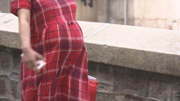 基孔肯雅熱｜防護中心料輸入個案續現　醫生指孕婦可傳嬰兒或影響腦部