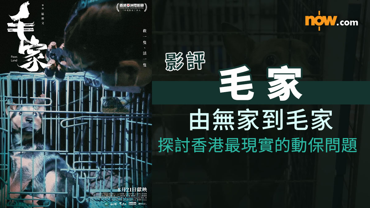 影評｜毛家　由無家到毛家—探討香港最現實的動保問題