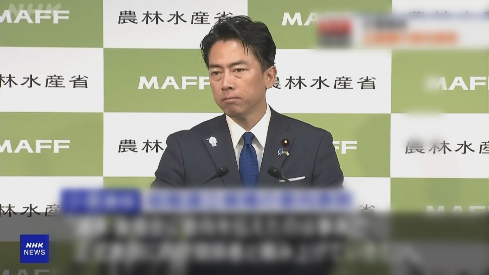 小泉進次郎及林芳正分別宣布參選執政自民黨總裁　爭取日本首相之位