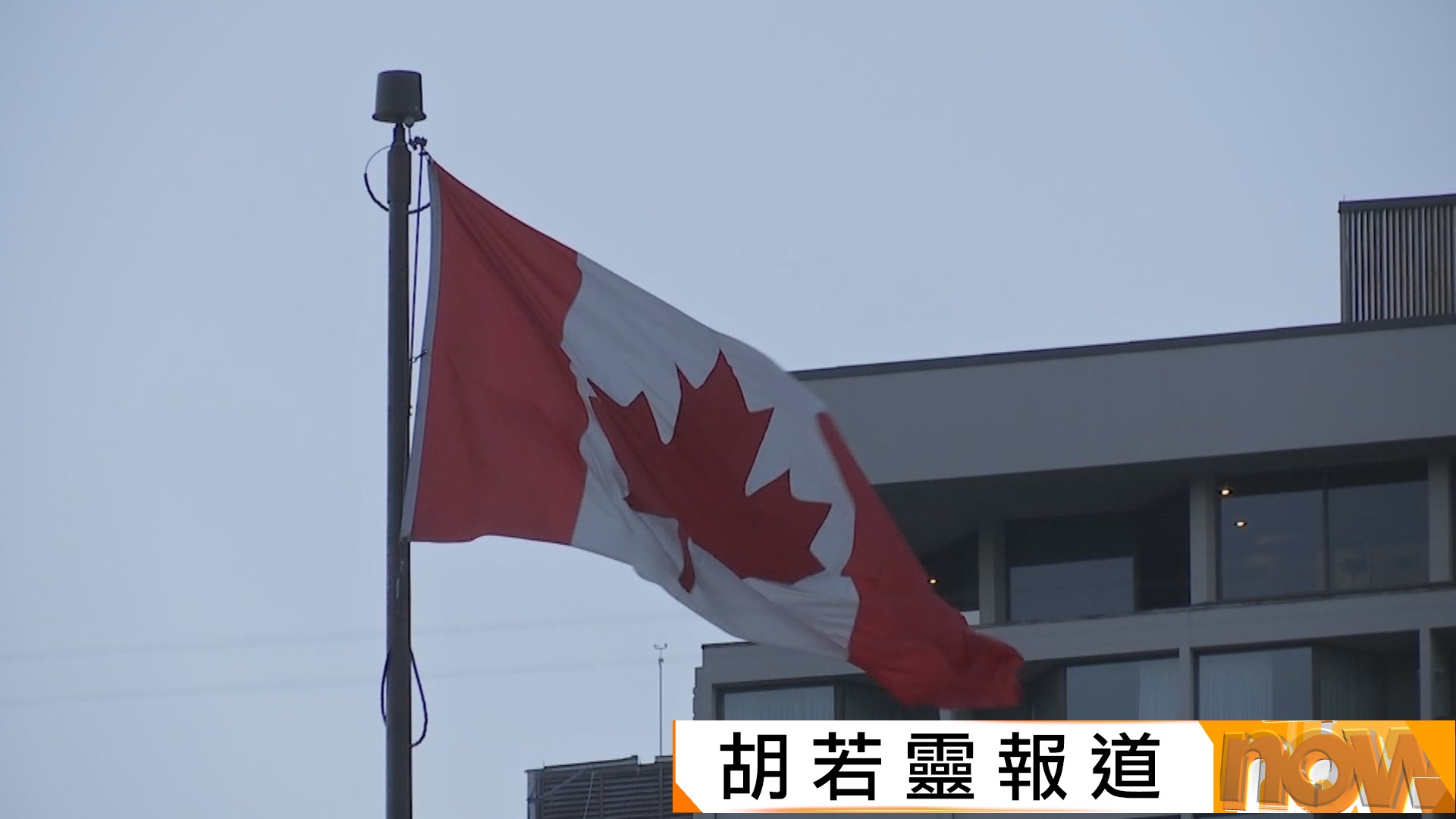 加拿大港人救生艇計劃｜至少7宗申請被拒簽　被指代筆或抄襲取得學歷