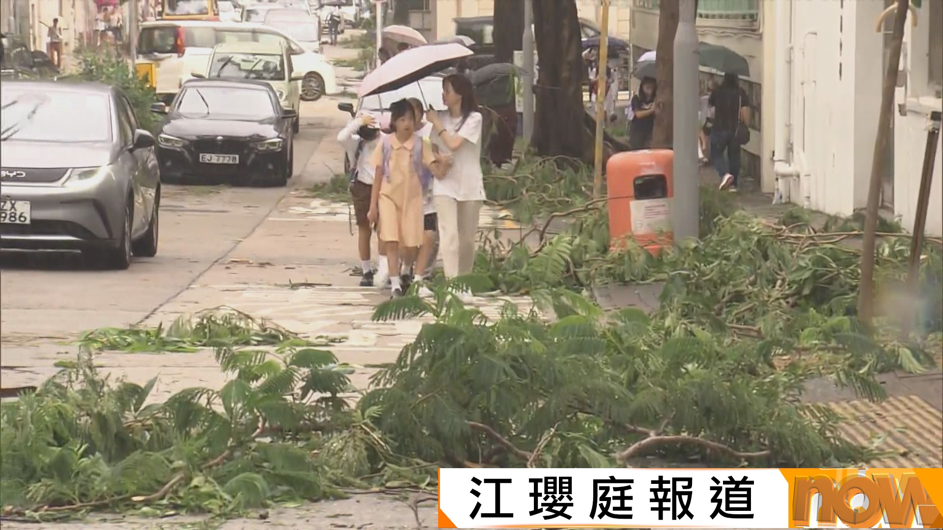 樺加沙襲港｜華仁書院等多間學校塌樹續停課善後　將軍澳海濱食肆停業清理