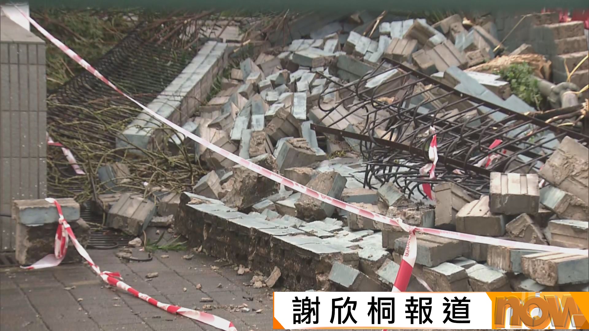 樺加沙襲港｜陳美寶指主要幹道晚上大致清理完　交通復常市民如常上班