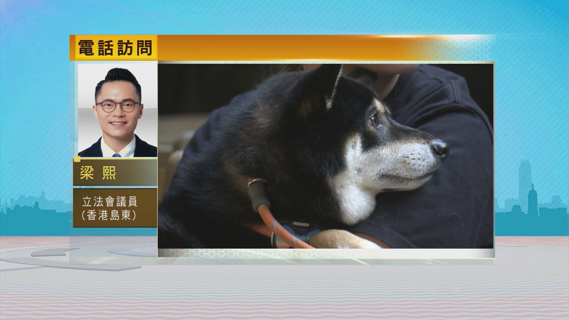 時事全方位｜放寛狗隻進入食肆(二)