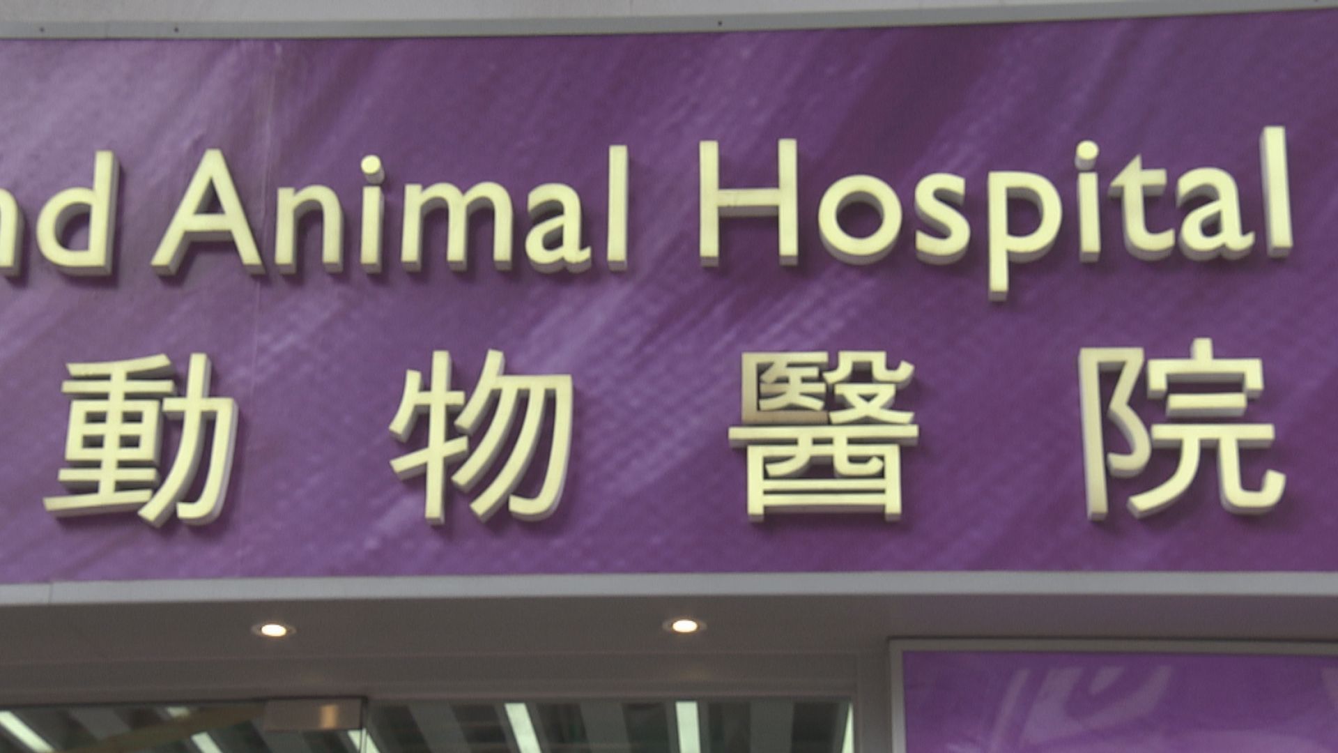 獸醫須在診所入口及醫療紀錄展示全名　半年內曾做檢查才可遠程醫療