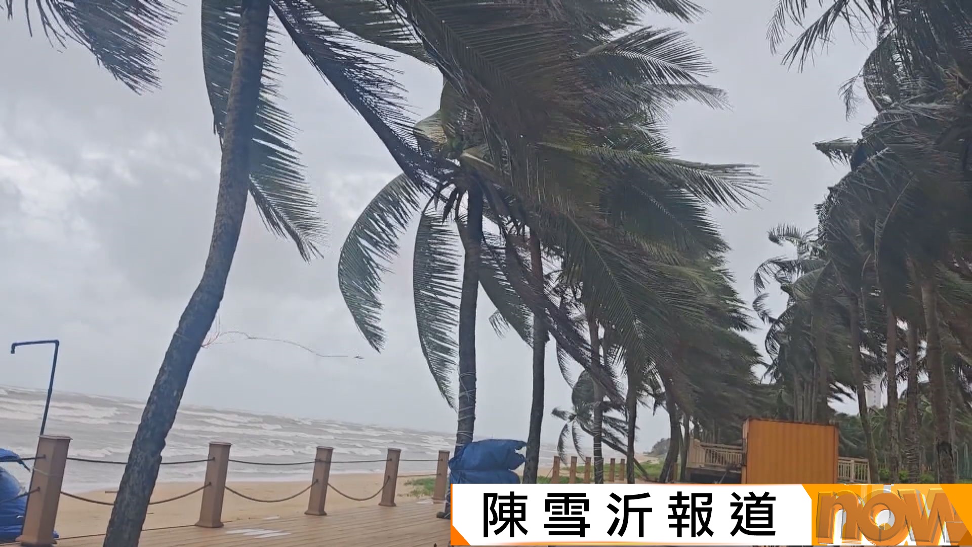 博羅依帶來強勁風雨　海南三亞全日停課多條交通路線停運