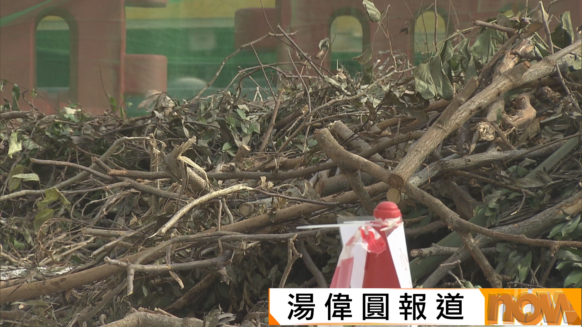 樺加沙襲港逾千宗塌樹　環保署樹木臨時處理點加快善後