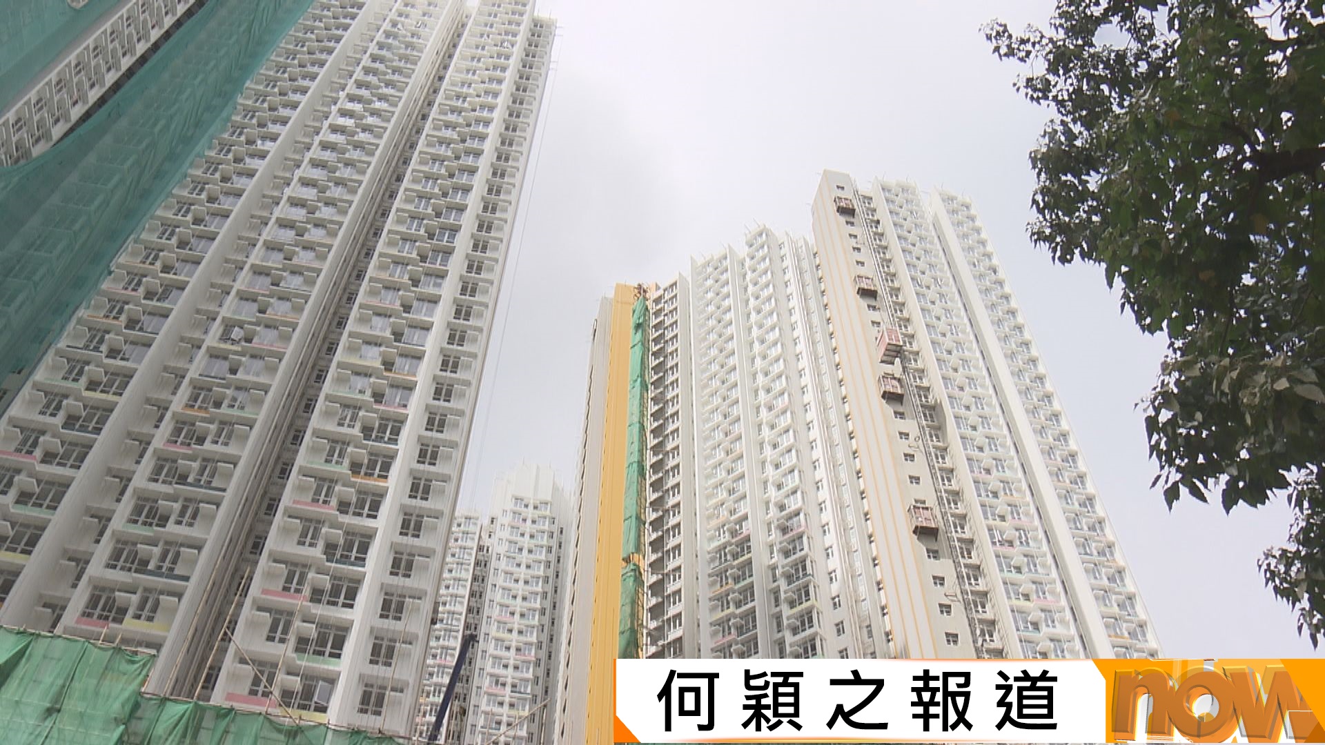 綠置居攪珠｜六折推售宏緻苑逾2500個　黃碧如指申請人數受不同因素影響