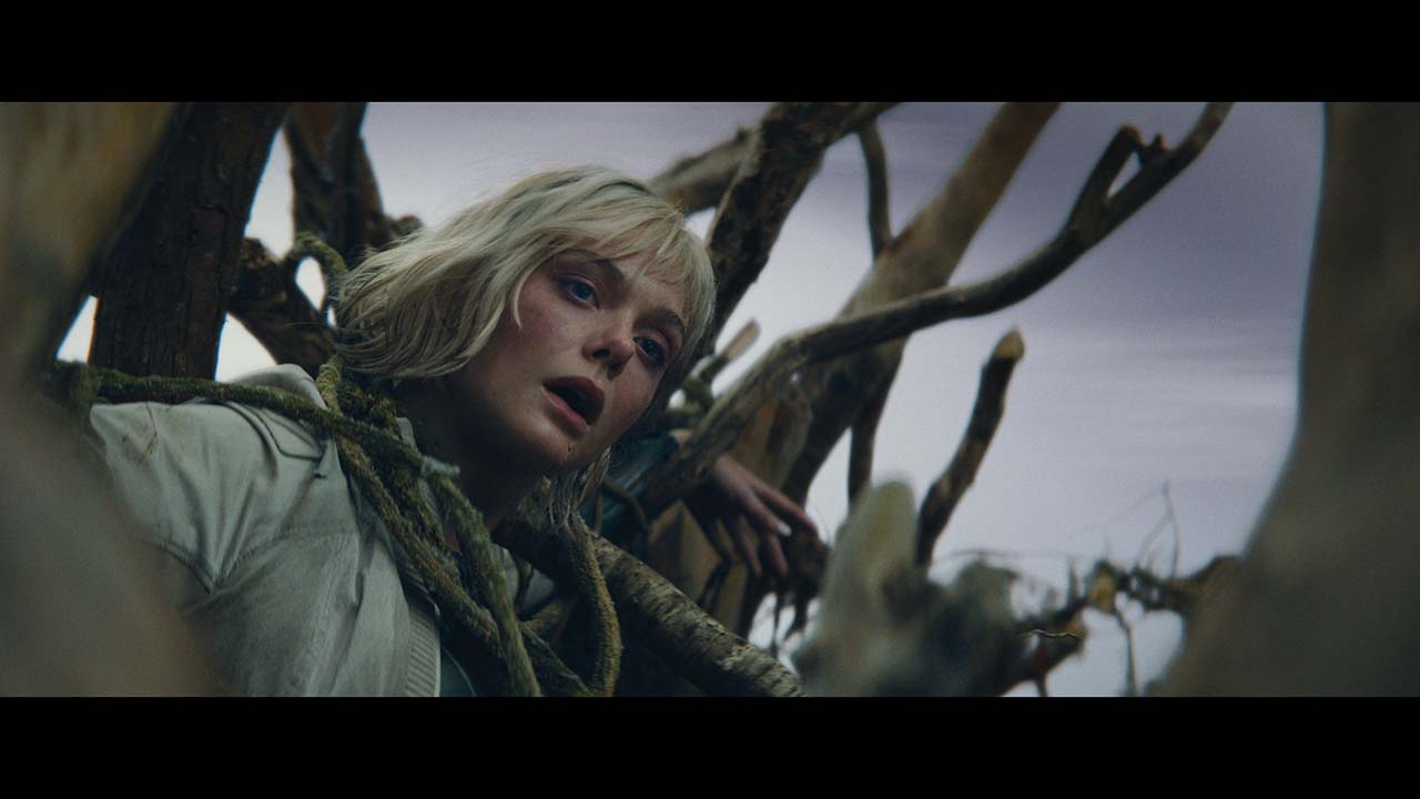 電影預告｜《鐵血戰士：蠻荒廝殺》最終預告片　年輕戰士放逐最危險星球與《異形》系列合成人聯手對抗　兩大經典結合更大格局