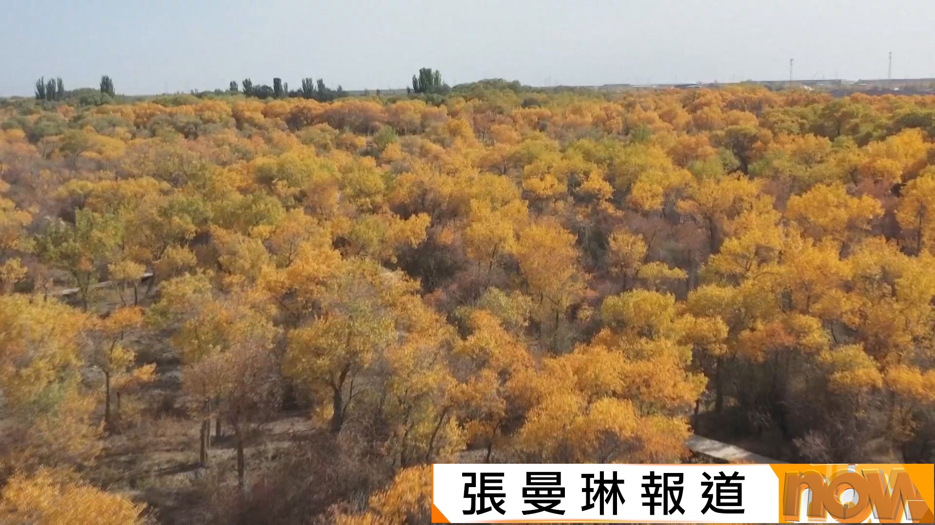 新疆喀什觀賞胡楊林　加強旅遊配套帶動當地就業