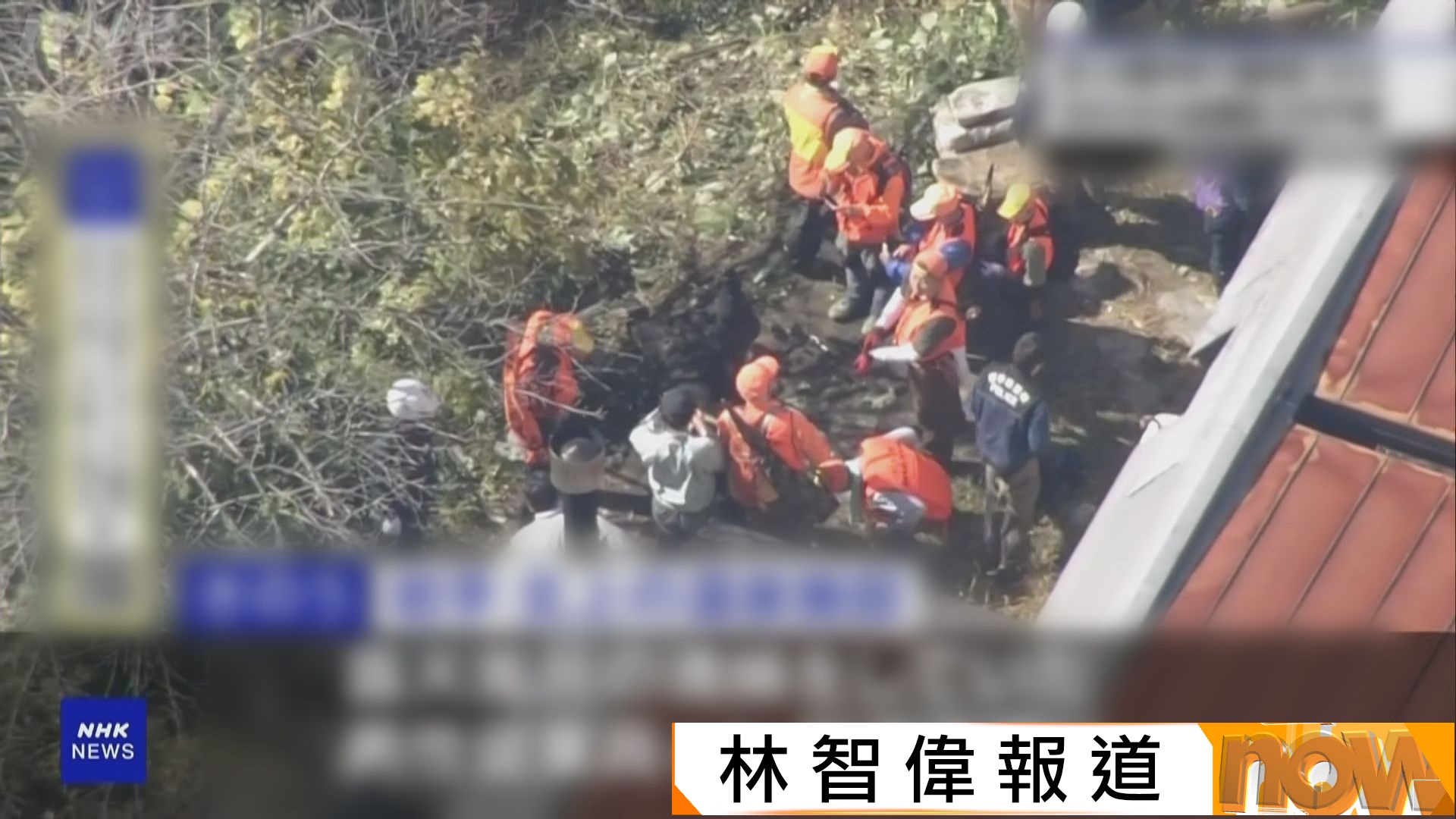 日本民眾遭熊襲擊致死個案創新高　岩手有溫泉旅館職員疑被熊拖走殺死