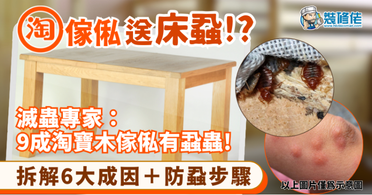 【網購傢俬注意】淘寶傢俬送床蝨!_ 滅蟲專家：9成淘寶木傢俬有蝨蟲! 拆解6大成因＋防蝨步驟