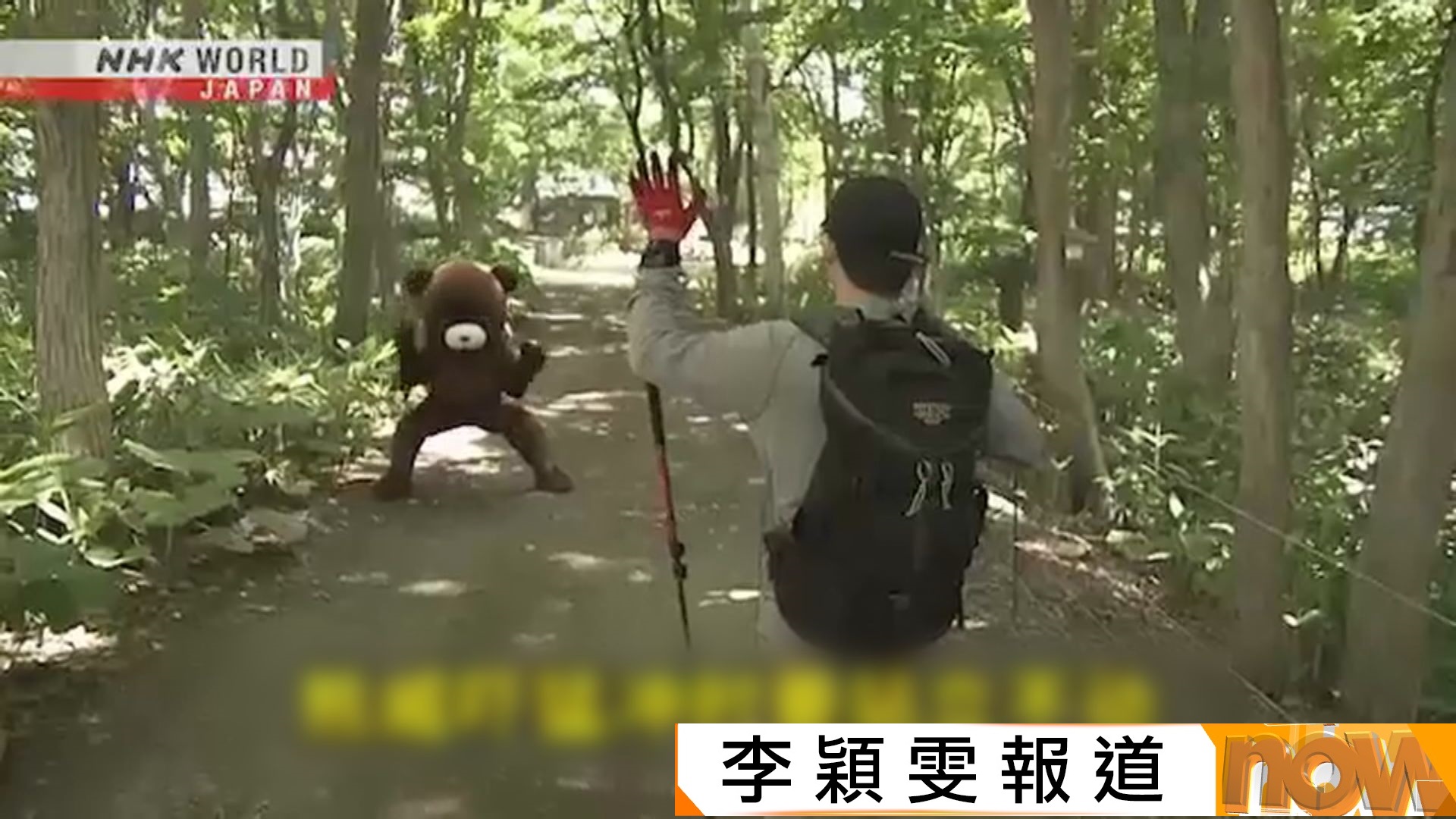 遊日注意｜日本本月錄逾60宗熊出沒傷人　警方警告開槍未必有效、籲及早疏散