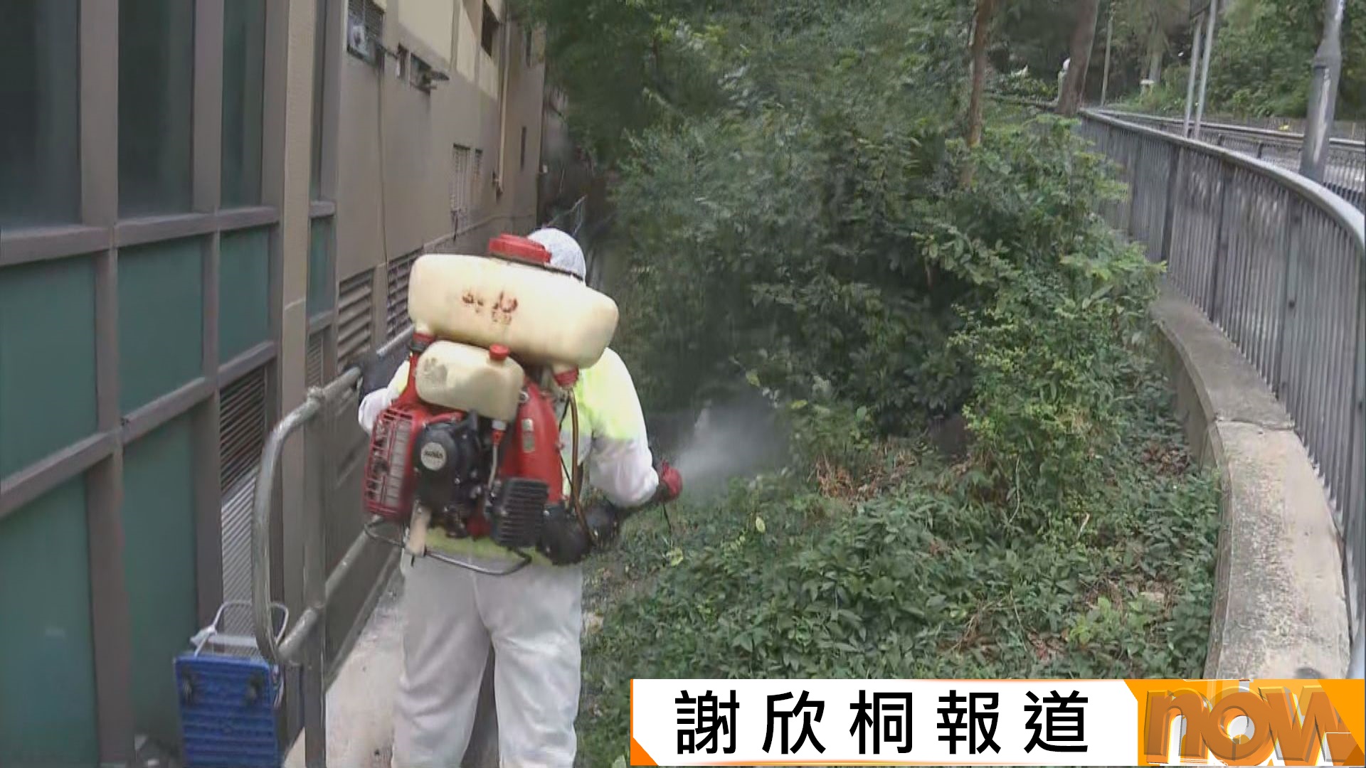 基孔肯雅熱｜八旬女患者居於鑽石山鳳德邨　衞生防護中心不排除有更多個案