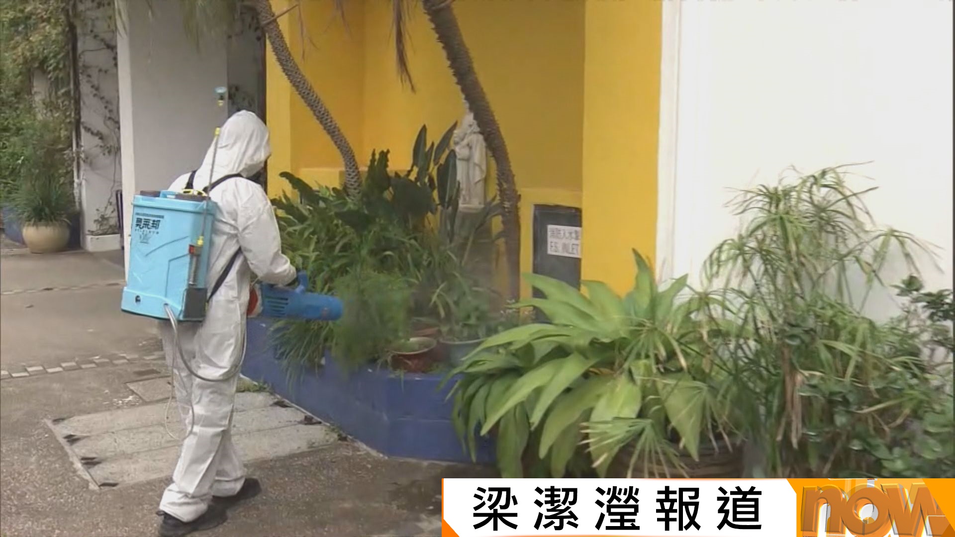 基孔肯雅熱｜首宗本地感染個案患者居鳳德邨　附近小學加強防蚊滅蚊