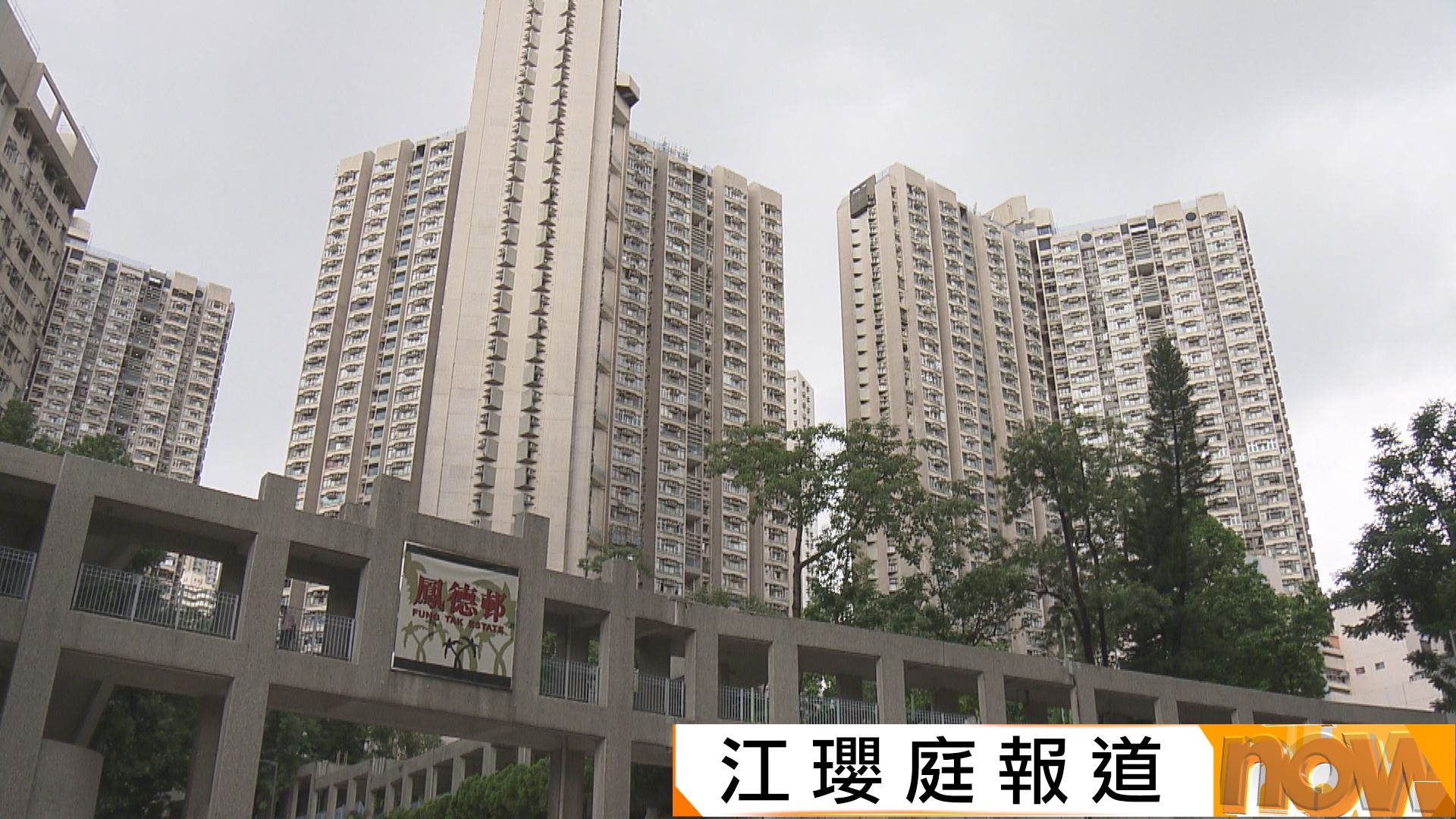 基孔肯雅熱｜本港新增3宗個案　55歲女於鳳德邨學校工作