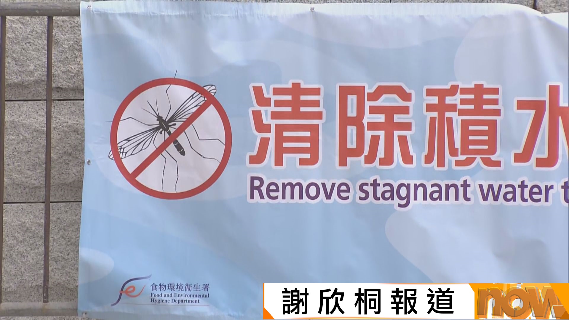 重陽節｜市民掃墓指部分祭品加價　自備蚊怕水預防基孔肯雅熱