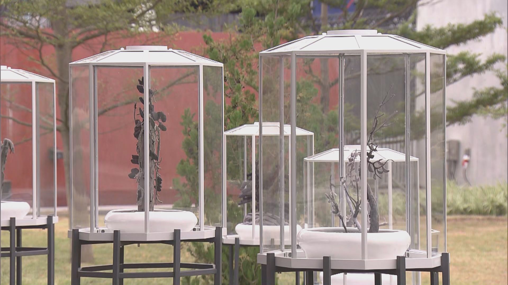 故宮文化博物館首個戶外藝術展　傳統園林為主題