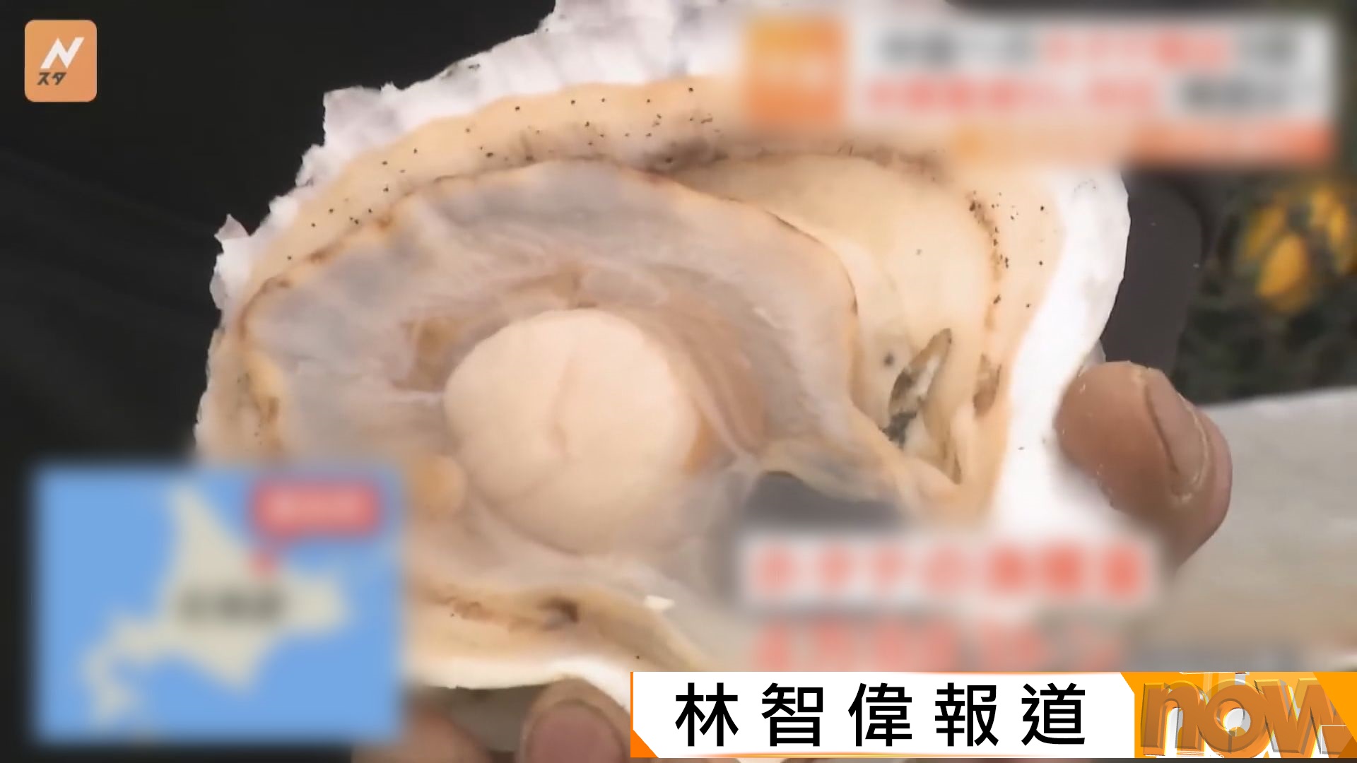 福島核事故｜北海道急凍扇貝首度出貨輸華　下周出口青森縣海參