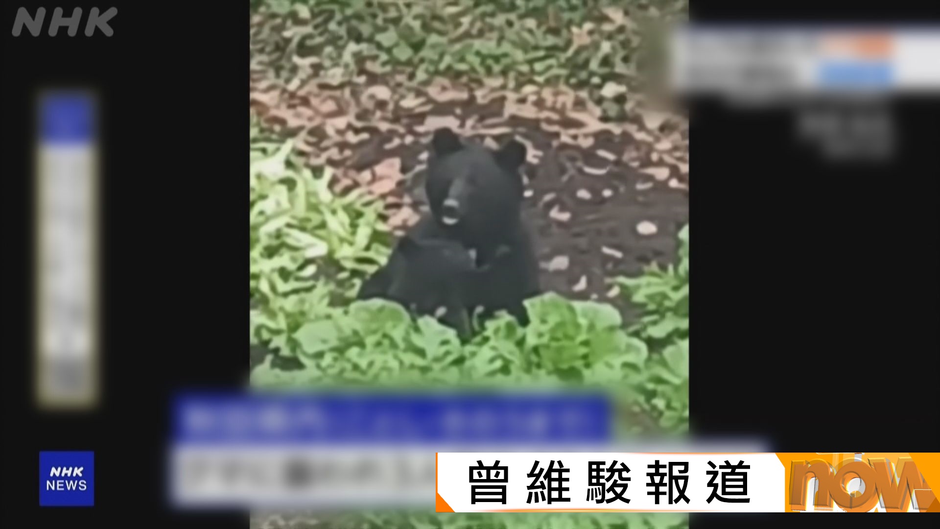 高市早苗：要利用追加預算支援地方政府應對「熊害」