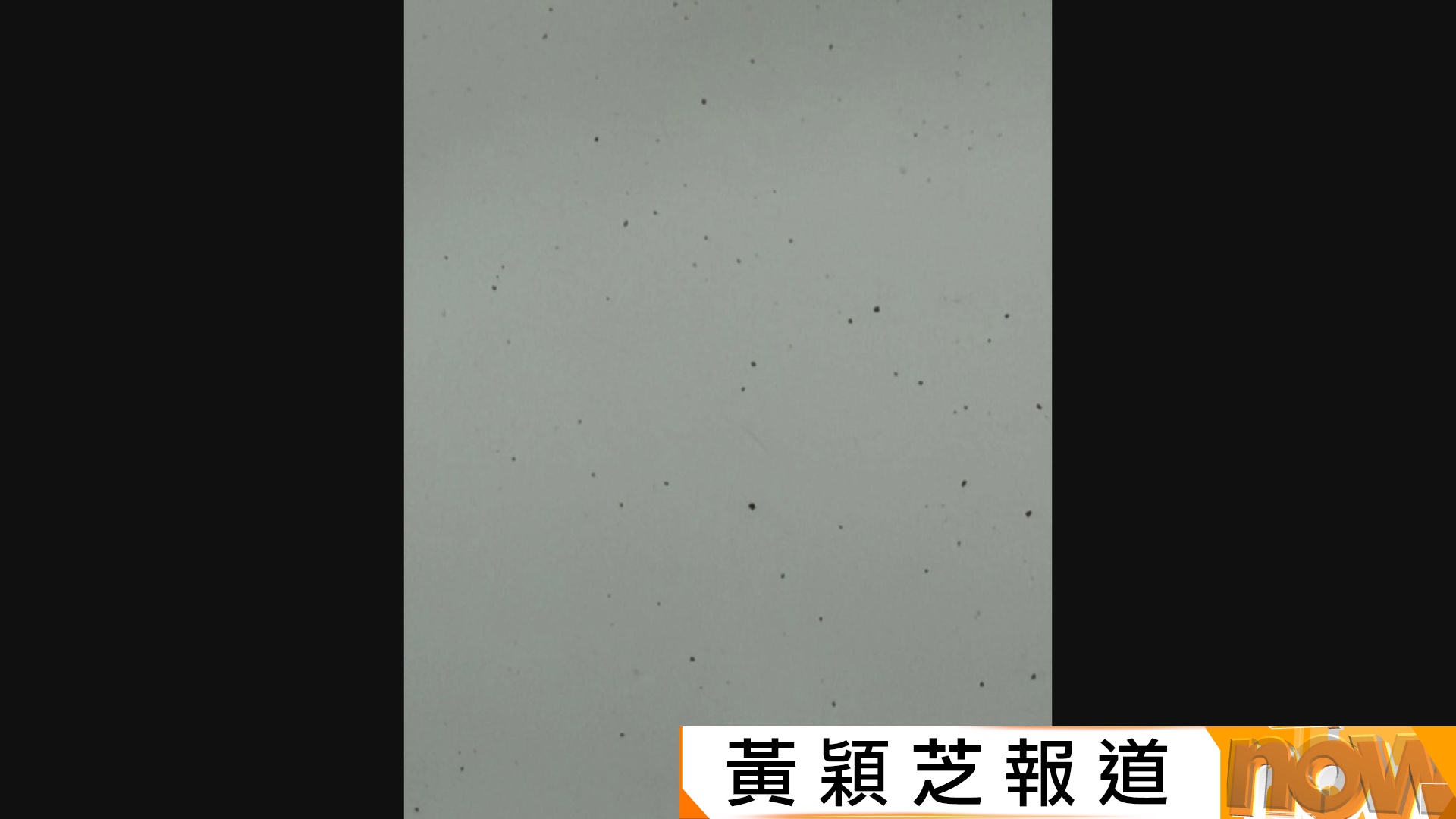 太古城部分樓宇用戶食水現黑點　水務署懷疑有濾網設施破損　稱正化驗食水