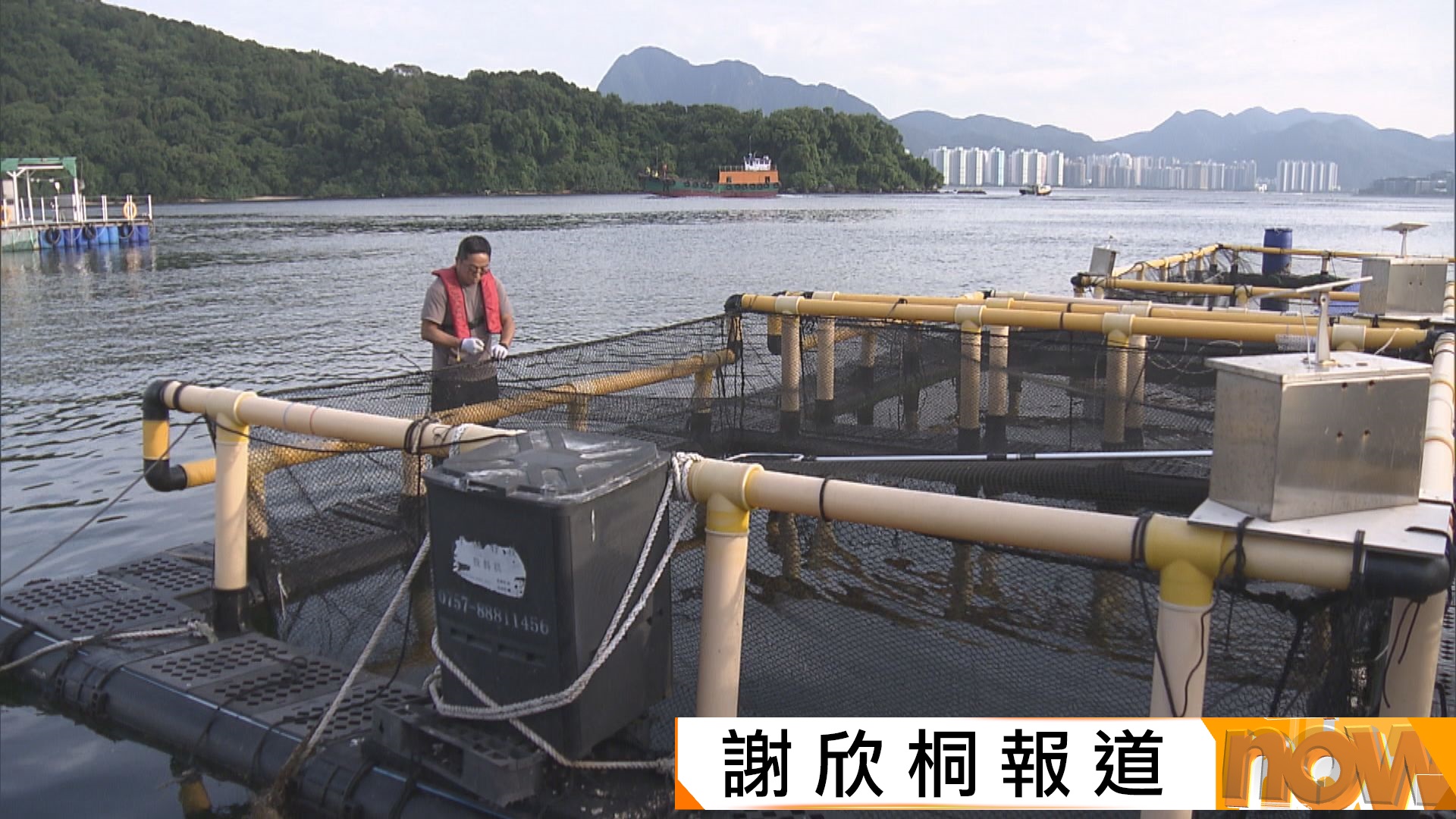 漁業持續發展基金已批申請涉款2.73億　助漁民升級魚排