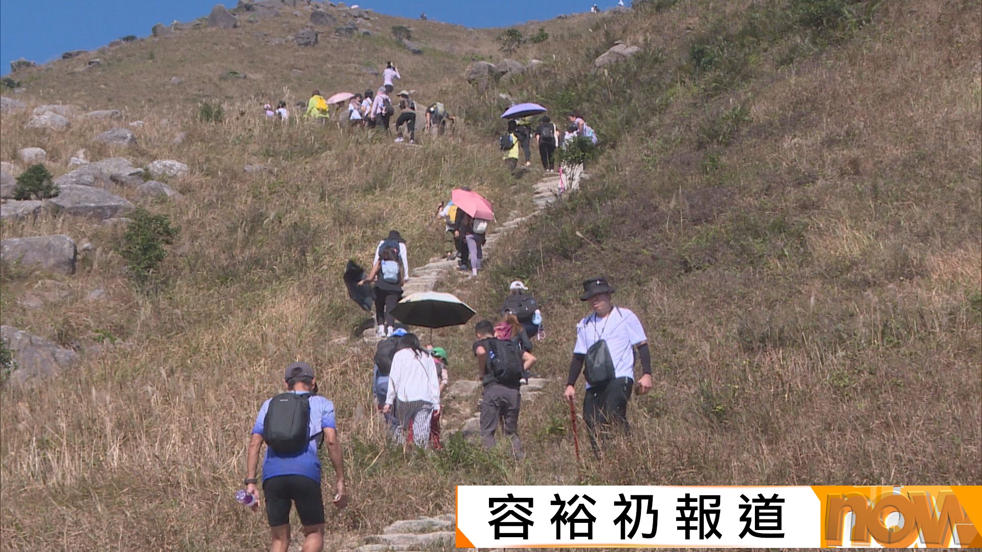 大東山大批遊人賞芒草　漁護署派員維持秩序