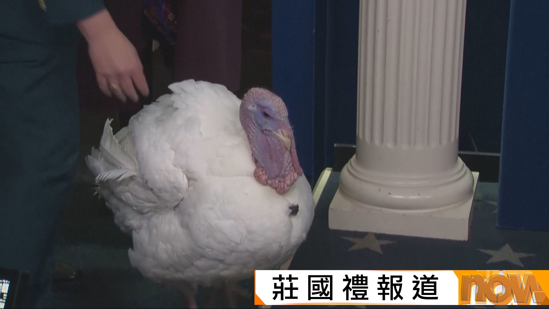 特朗普感恩節前赦免火雞　強調成功控制通脹又揶揄民主黨人