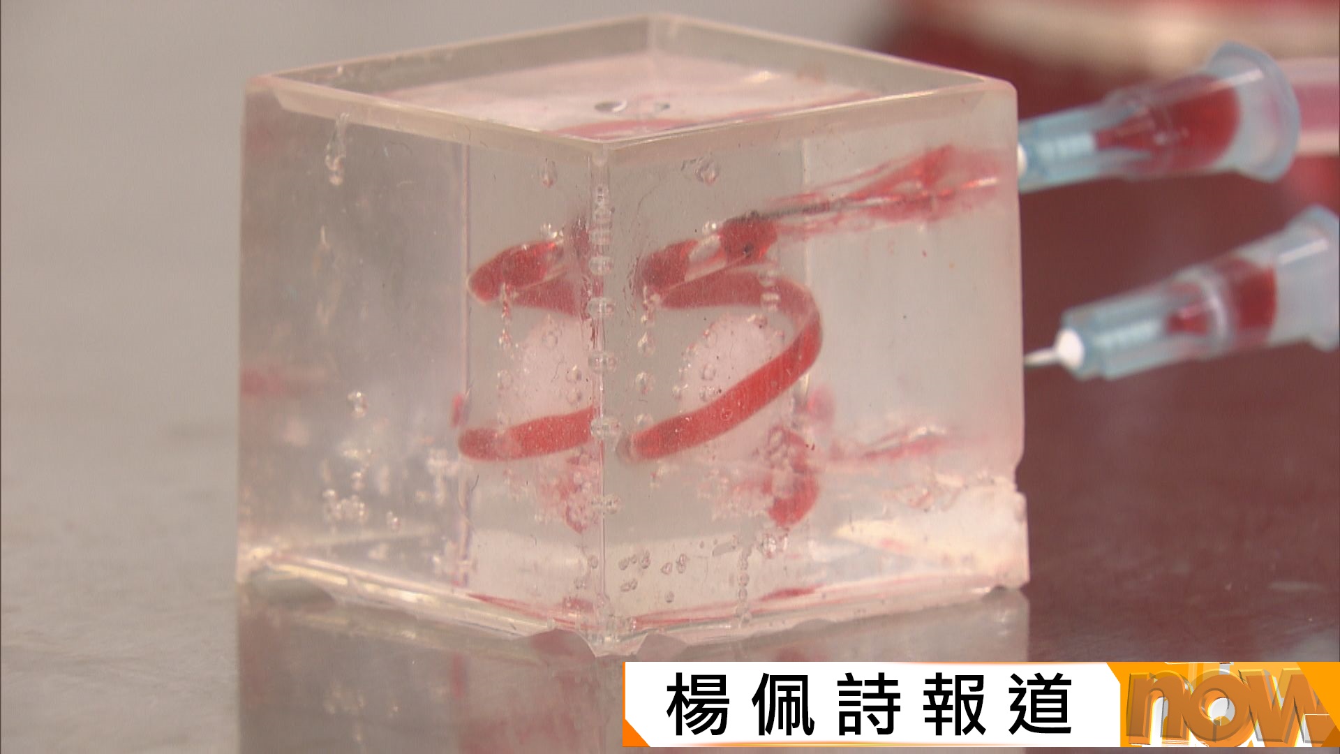 港大研發迷你仿生肝癌模型為病人體外試藥　提升治療成效4至5成