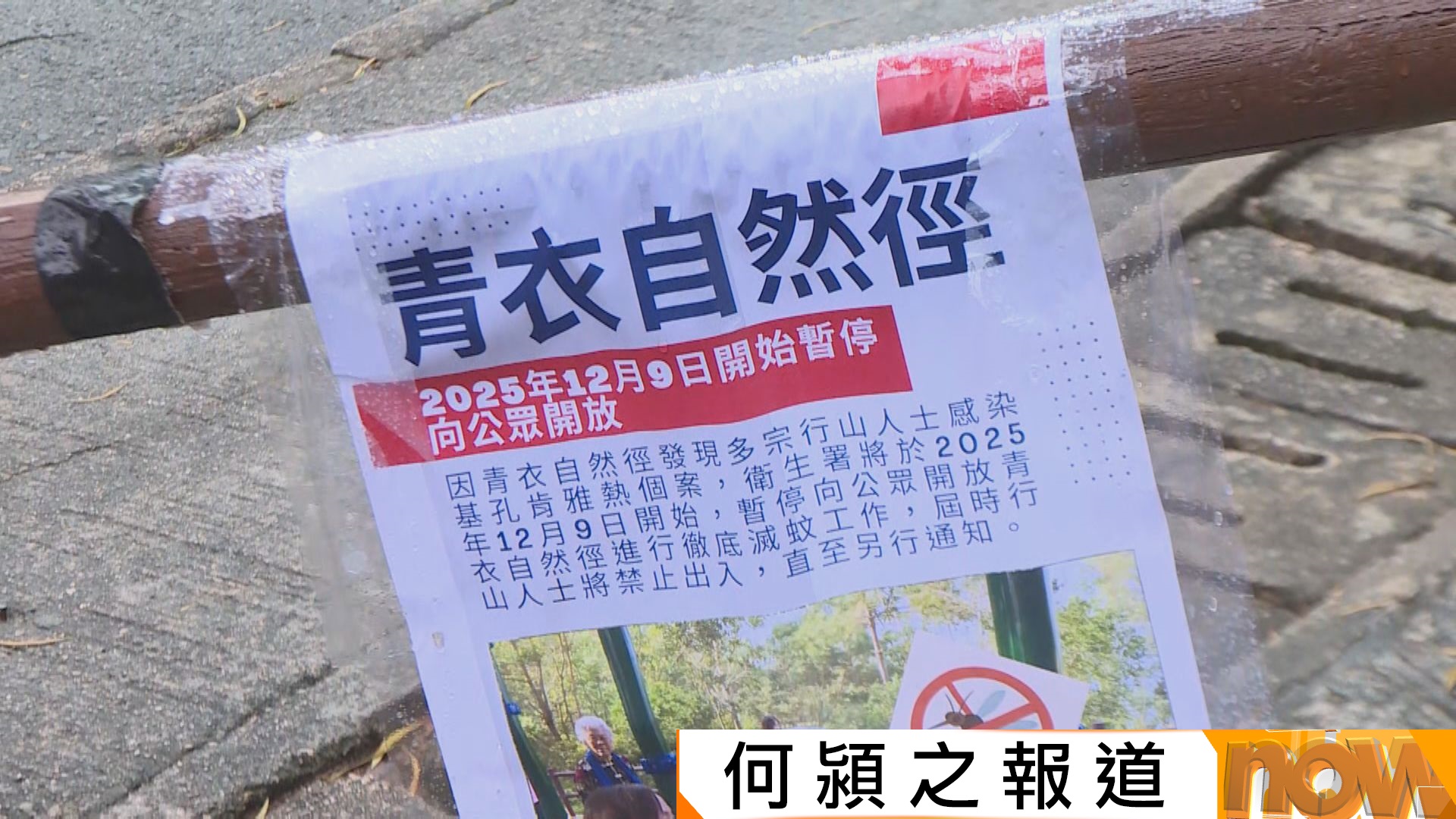 基孔肯雅熱｜青衣自然徑暫時關閉滅蚊　歐家榮：傳播鏈未清　惟未見大爆發